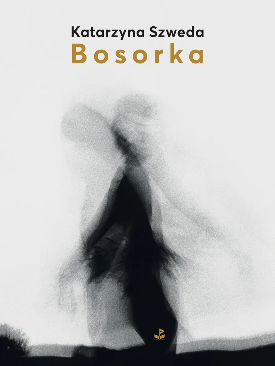 Bosorka  9788366487307