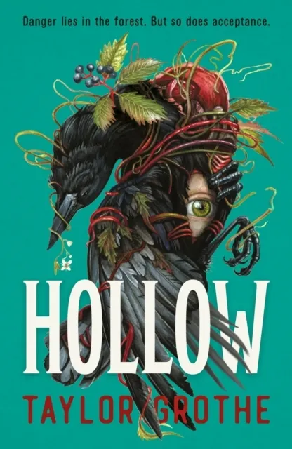Hollow  9781529533194
