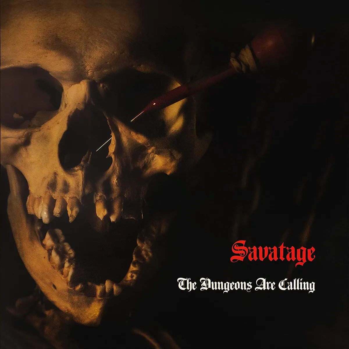 The Dungeons Are Calling (Vinyl)  4029759156710