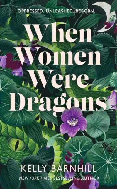When Women Were Dragons  9781471412226