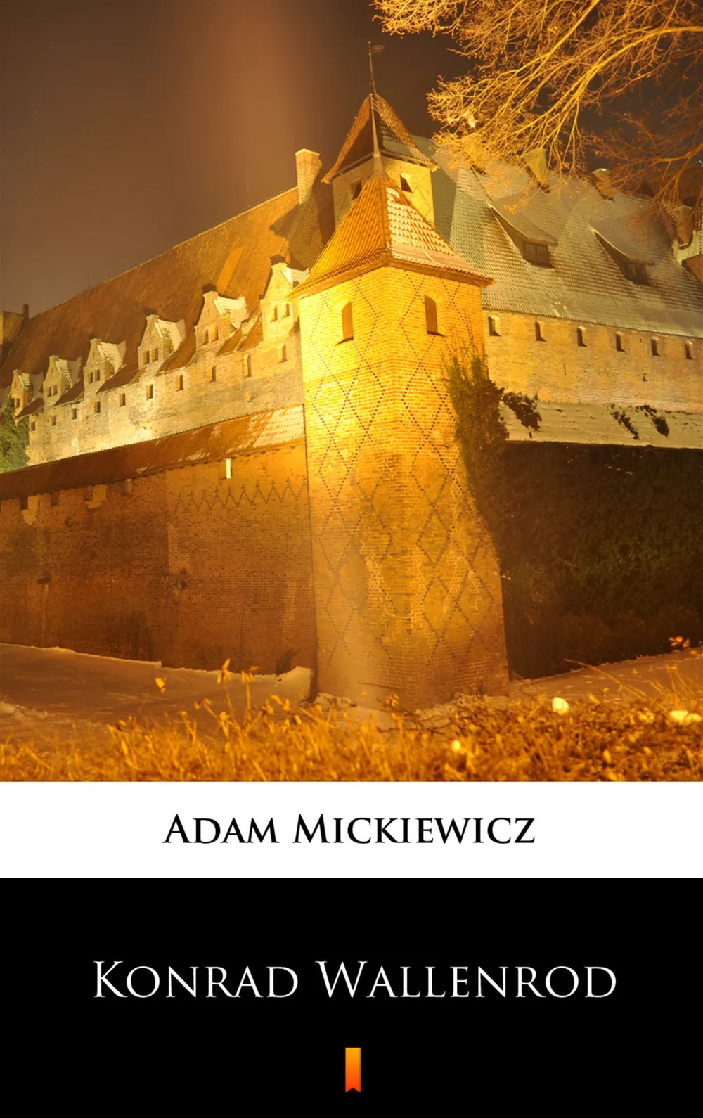 Konrad Wallenrod. Powieść historyczna z dziejów litewskich i pruskich 9788379034611