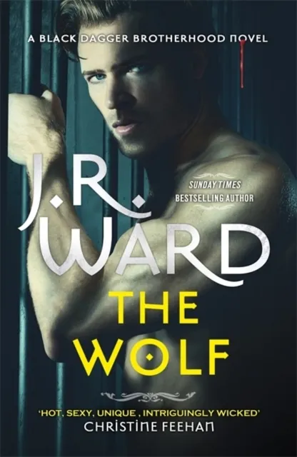 The Wolf 9780349430737