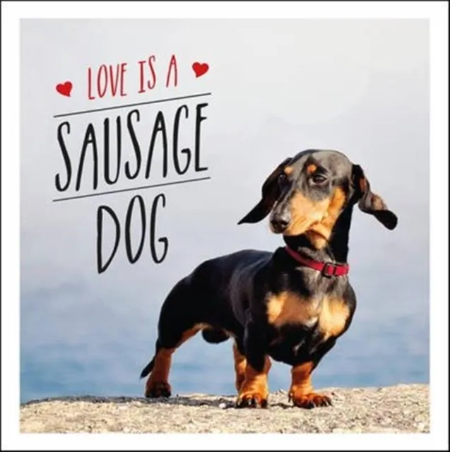 Love is a Sausage Dog  9781849539876