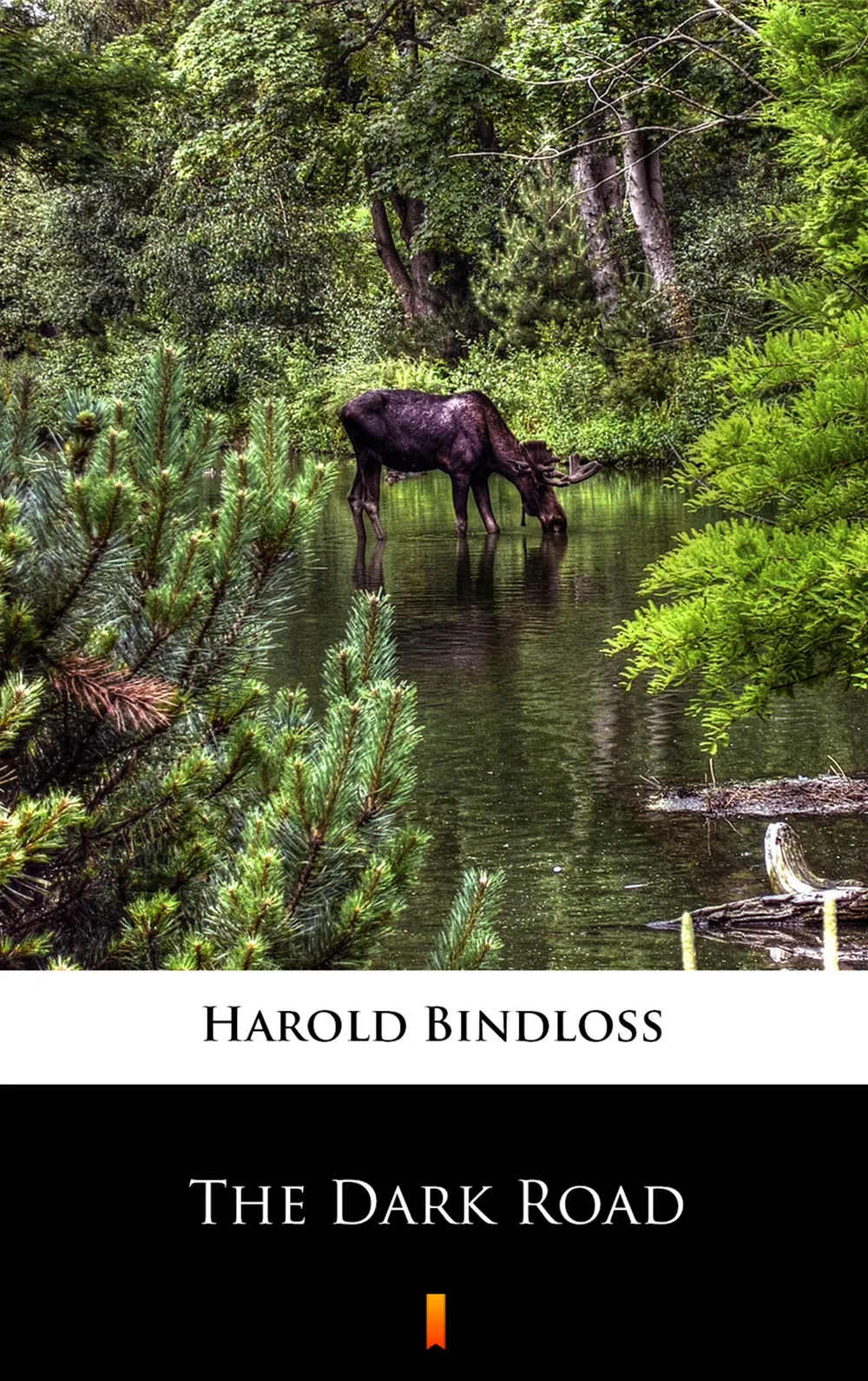The Dark Road (e-book) 9788381766739
