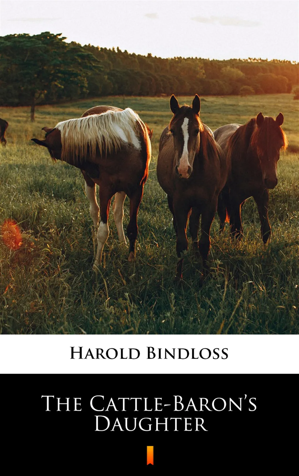 The Cattle-Baron’s Daughter (e-book) 9788381766036