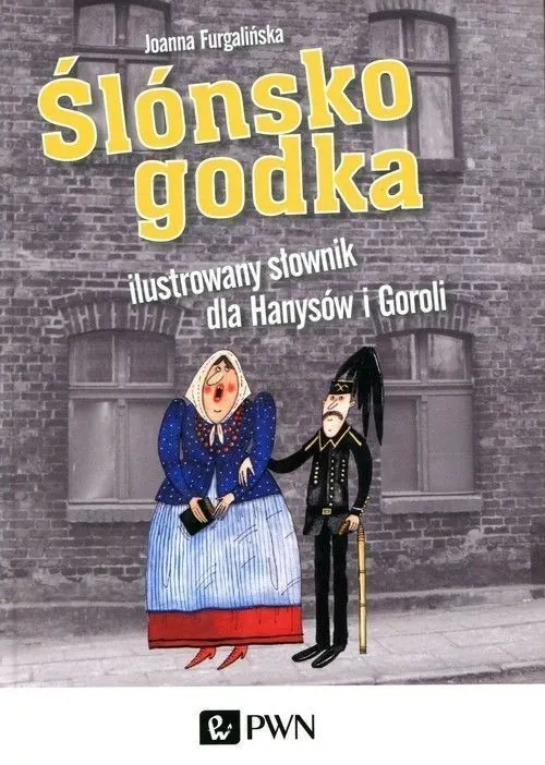 Ślónsko godka Ilustrowany słownik dla Hanysów i Goroli  9788301213596