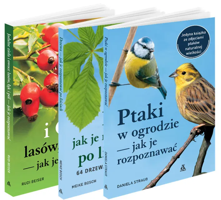Pakiet: Ptaki w ogrodzie / Drzewa / Jadalne zioła i owoce lasów, łąk i pól  9788324186785