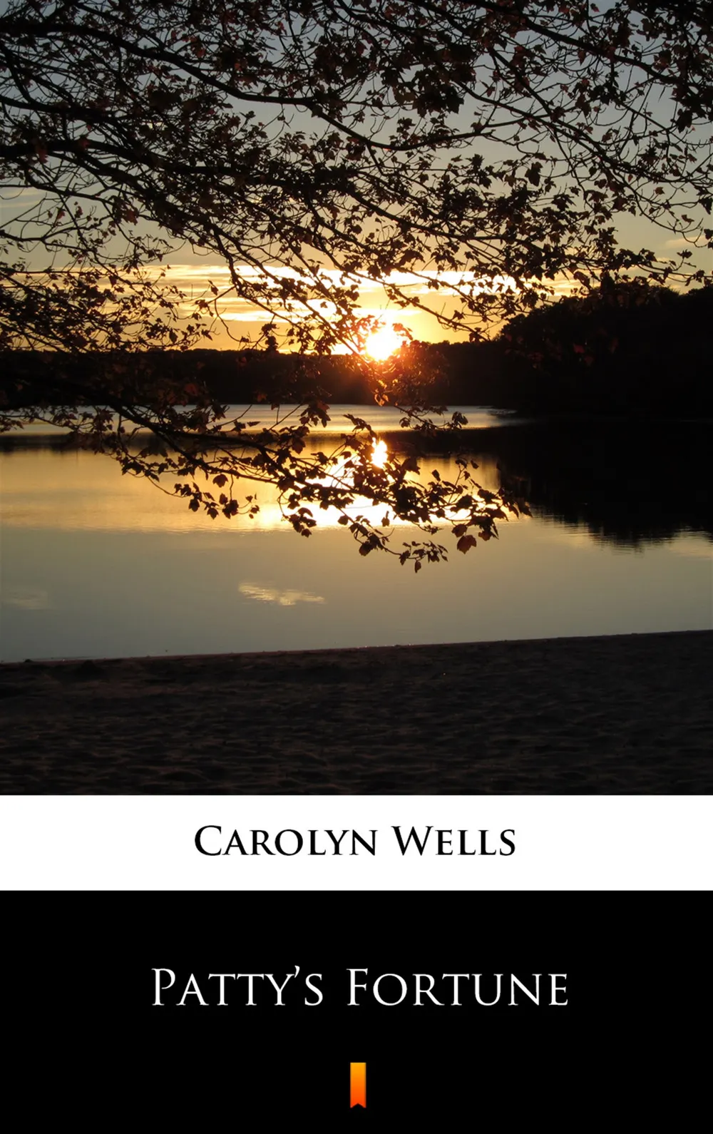 Patty’s Fortune (e-book) 9788382007053