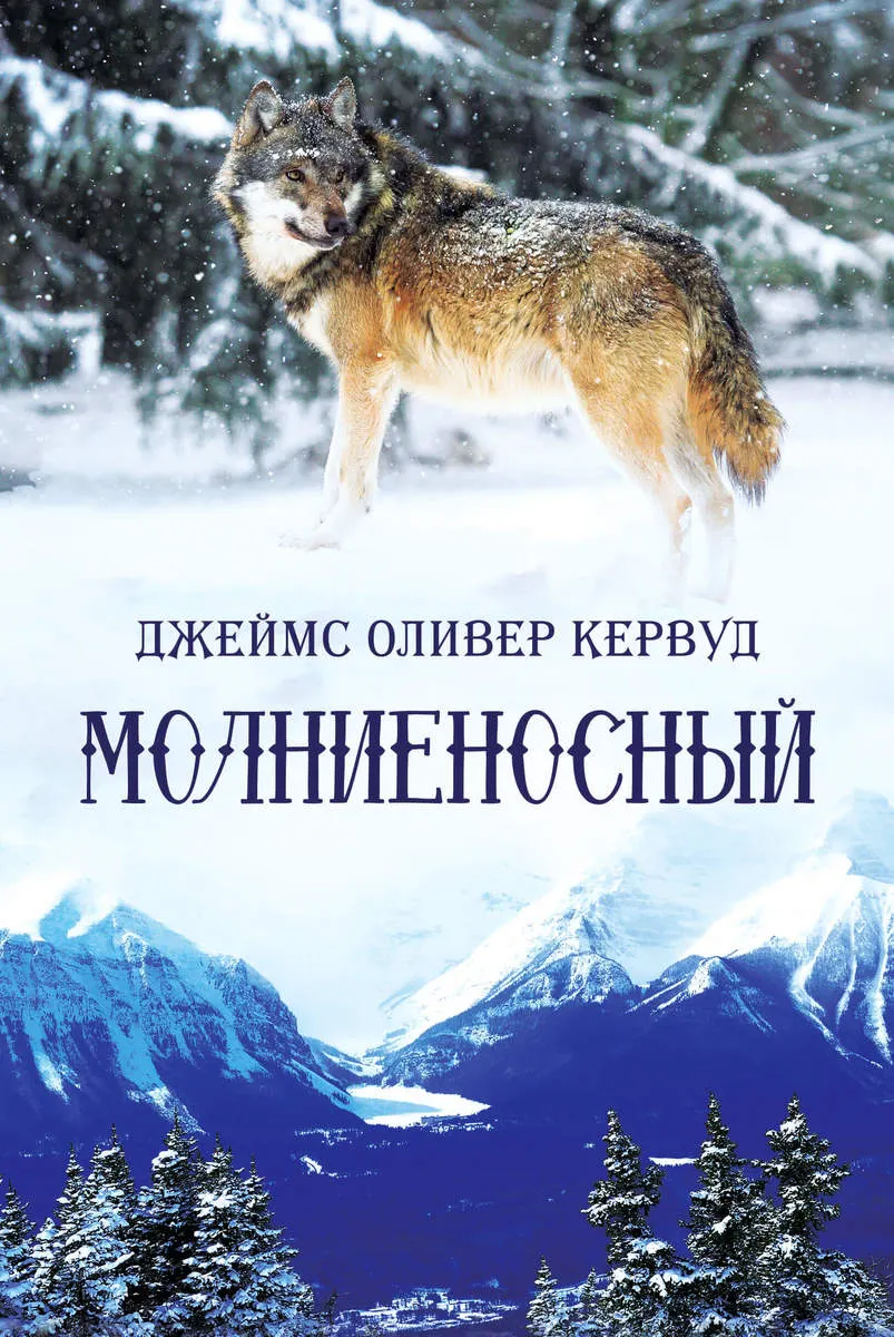 MolnyenosnŃ‹y 9786171278783