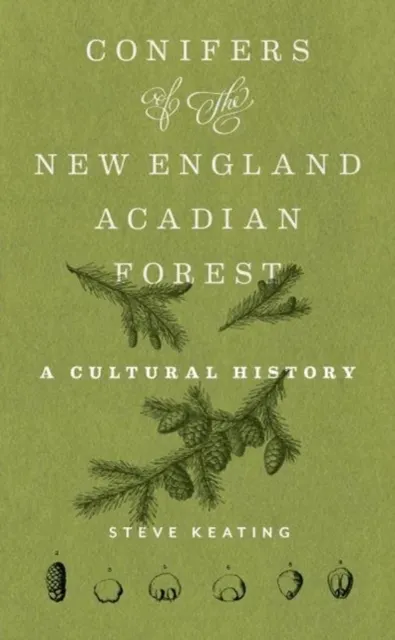 Conifers of the New England-Acadian Forest  9781625347879