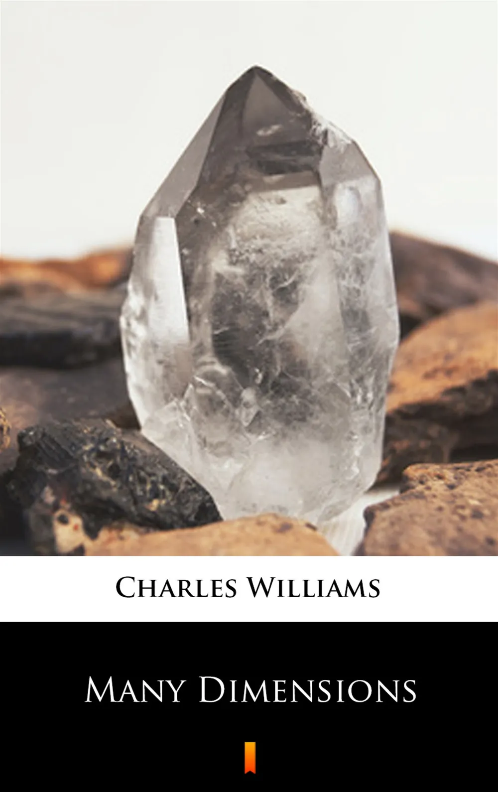 Many Dimensions (e-book) 9788381627757