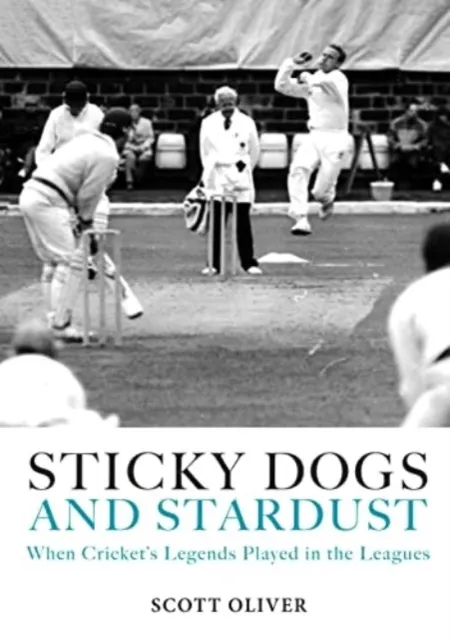 Sticky Dogs and Stardust  9781915237262