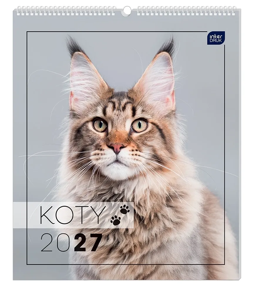 Kalendarz ścienny planszowy 33,5x40cm - Koty  5902277397287