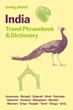 Lonely Planet India Travel Phrasebook & Dictionary 9781806531752