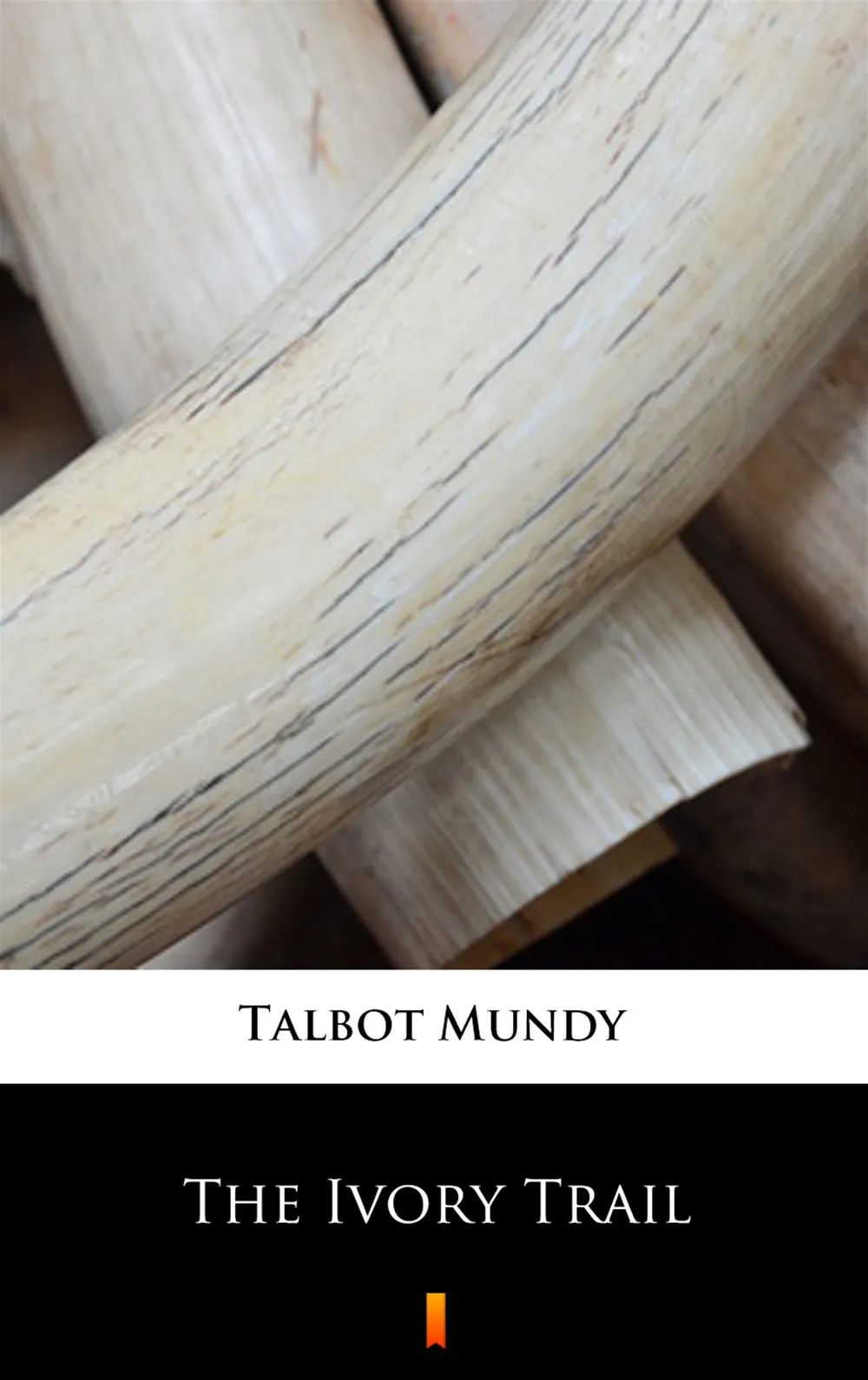 The Ivory Trail (e-book) 9788381486736