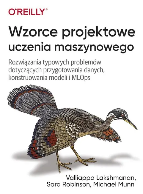 Wzorce projektowe uczenia maszynowego 9788375414417