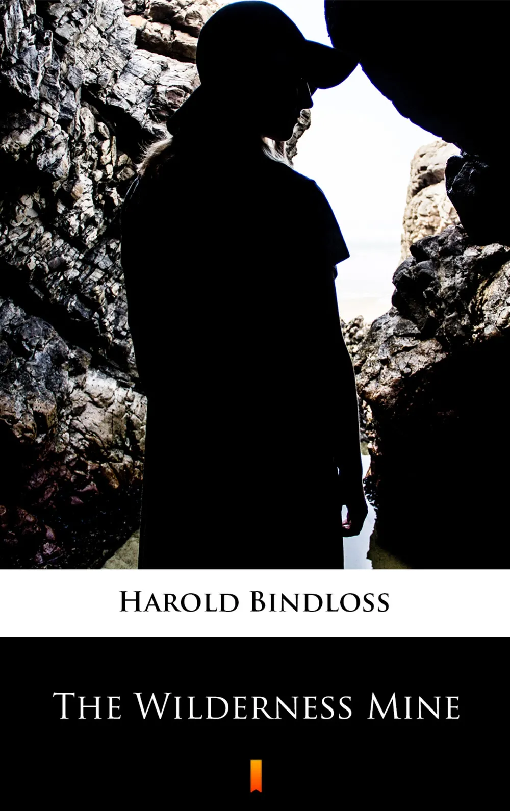 The Wilderness Mine (e-book) 9788381767248