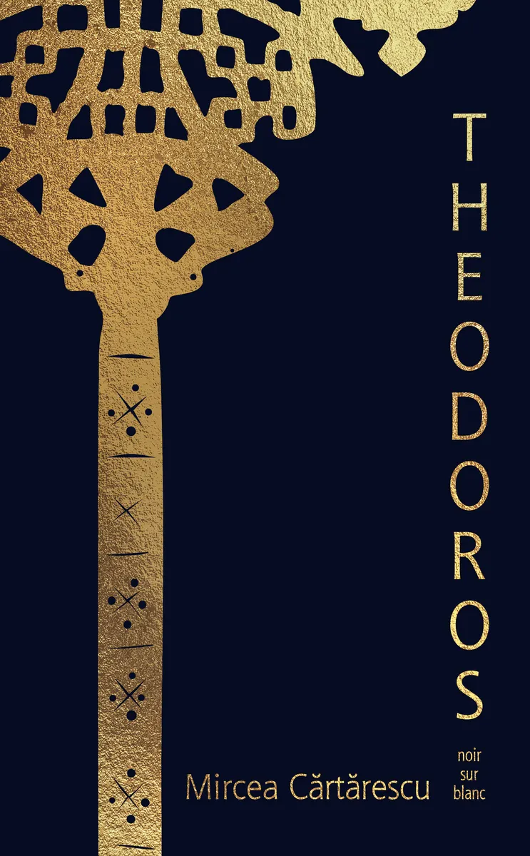 Theodoros 9788384031209