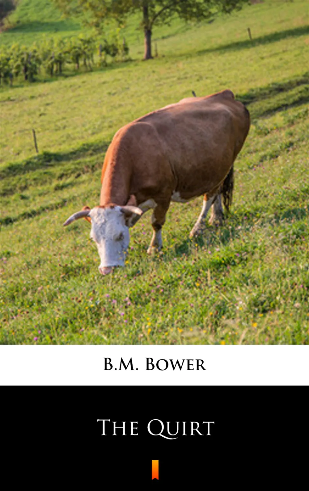 The Quirt (e-book) 9788381366052