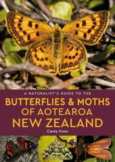 A Naturalist's Guide to the Butterflies & Moths of Aotearoa New Zealand  9781913679668
