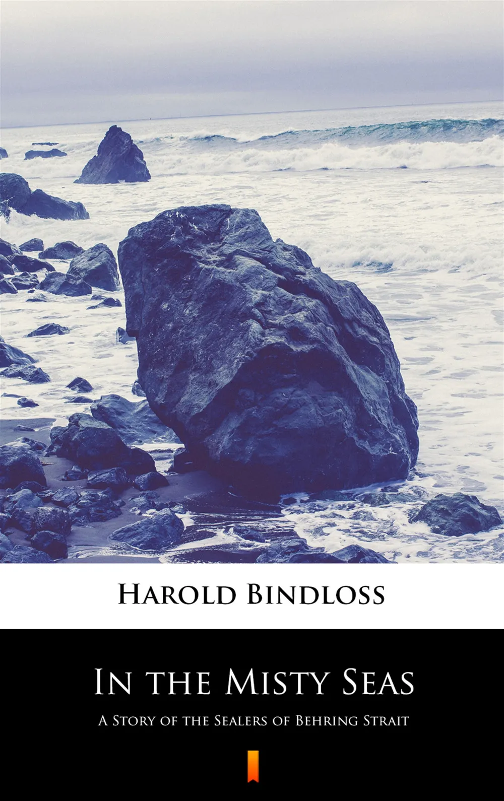 In the Misty Seas. A Story of the Sealers of Behring Strait (e-book) 9788381767088