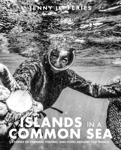 Islands In A Common Sea  9781915538208