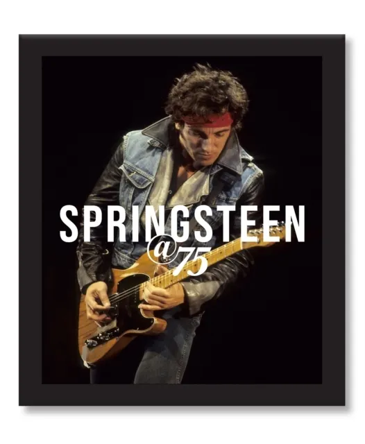 Bruce Springsteen at 75  9780760381106