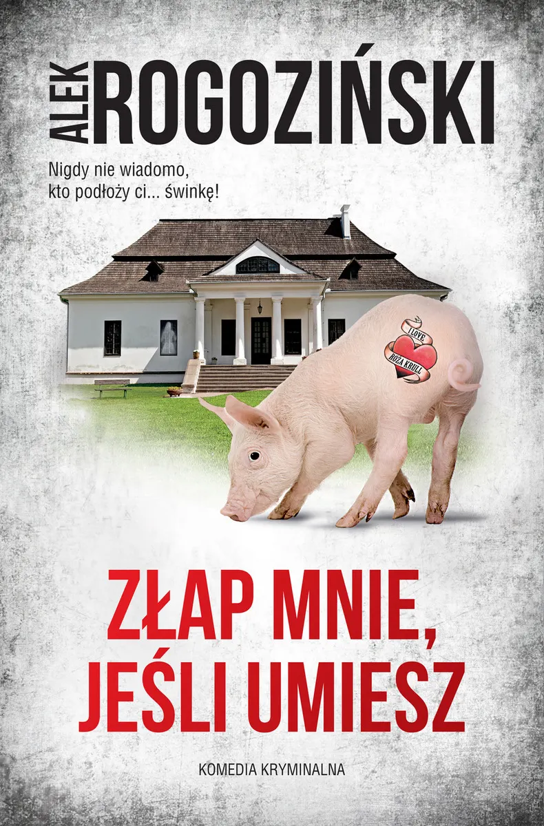 Złap mnie, jeśli umiesz 9788366939165