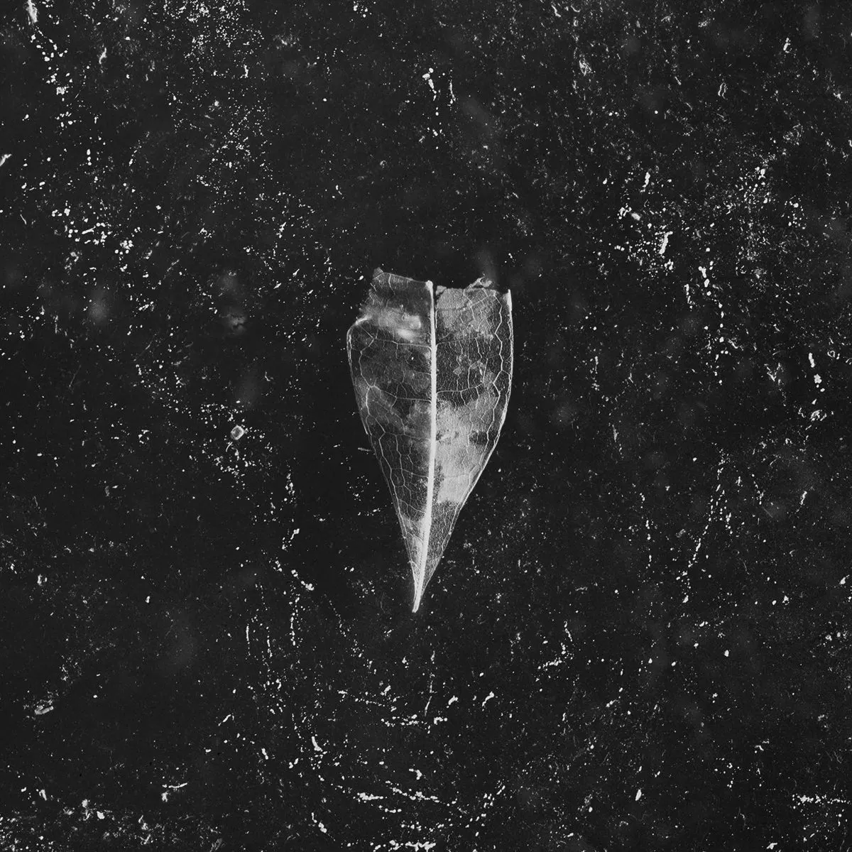 Aion (Digipack)  884388874299