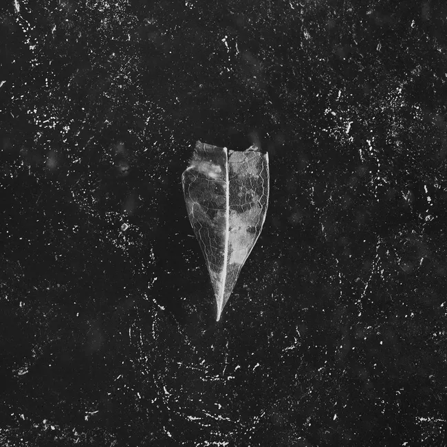 Aion (Digipack) 884388874299