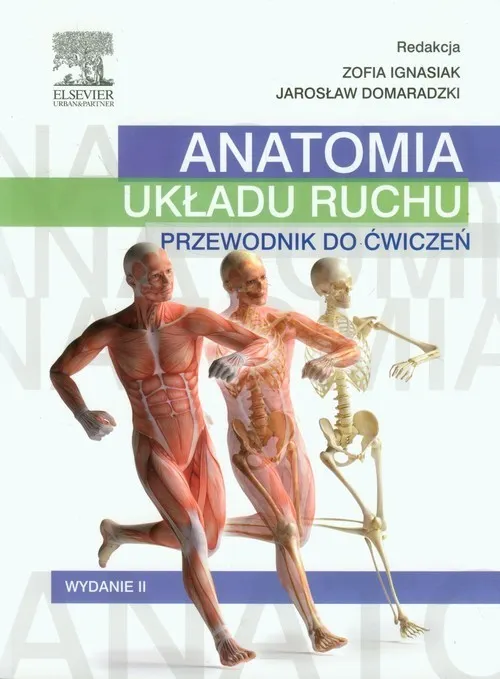 Anatomia układu ruchu Przewodnik do ćwiczeń  9788376099453