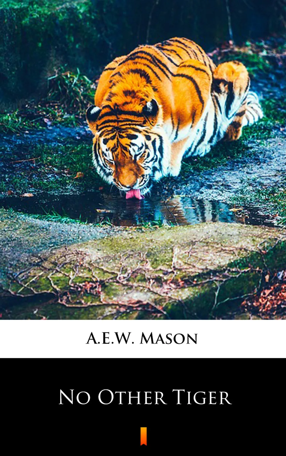 No Other Tiger (e-book) 9788382004236