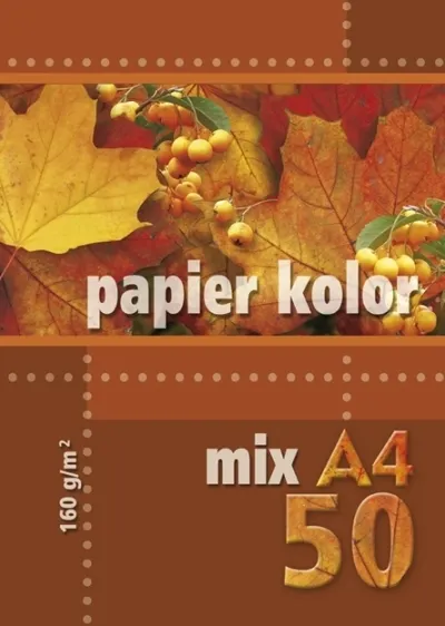 Kreska, papier kolorowy A4, 50 kartek, 160 g/m2, wielokolorowy  5905824900350