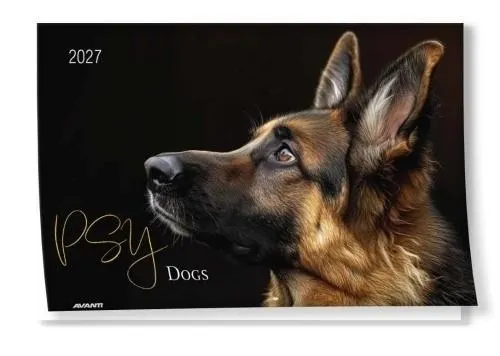 Kalendarz 2027 ścienny albumowy Psy 5906448200567