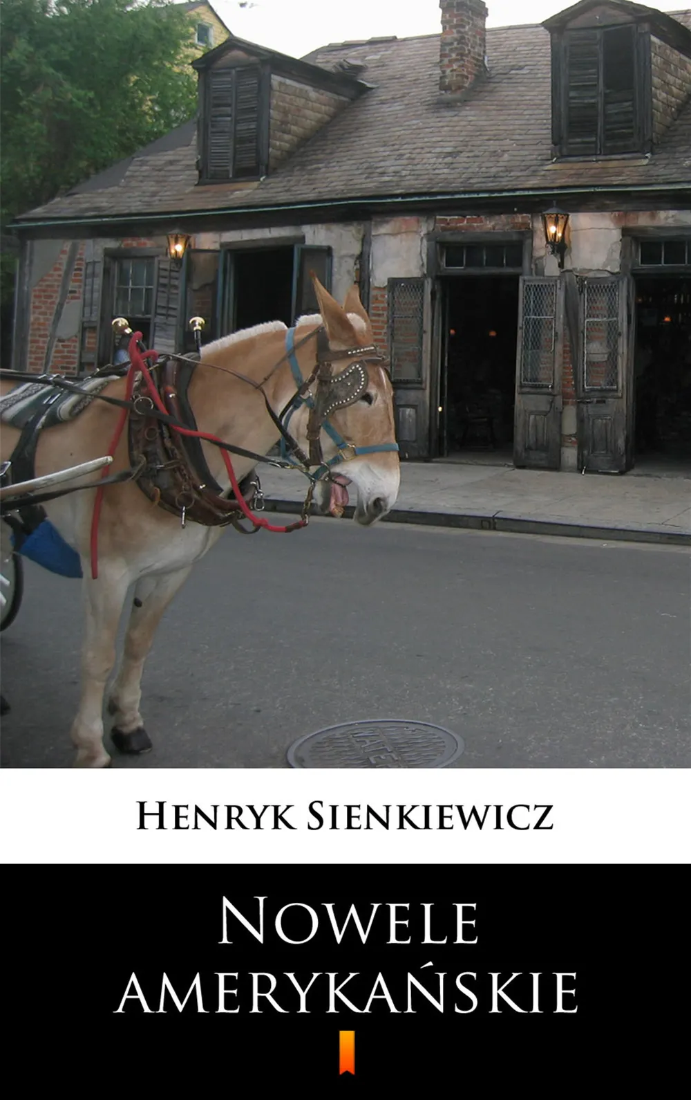 Nowele amerykańskie 9788379039685