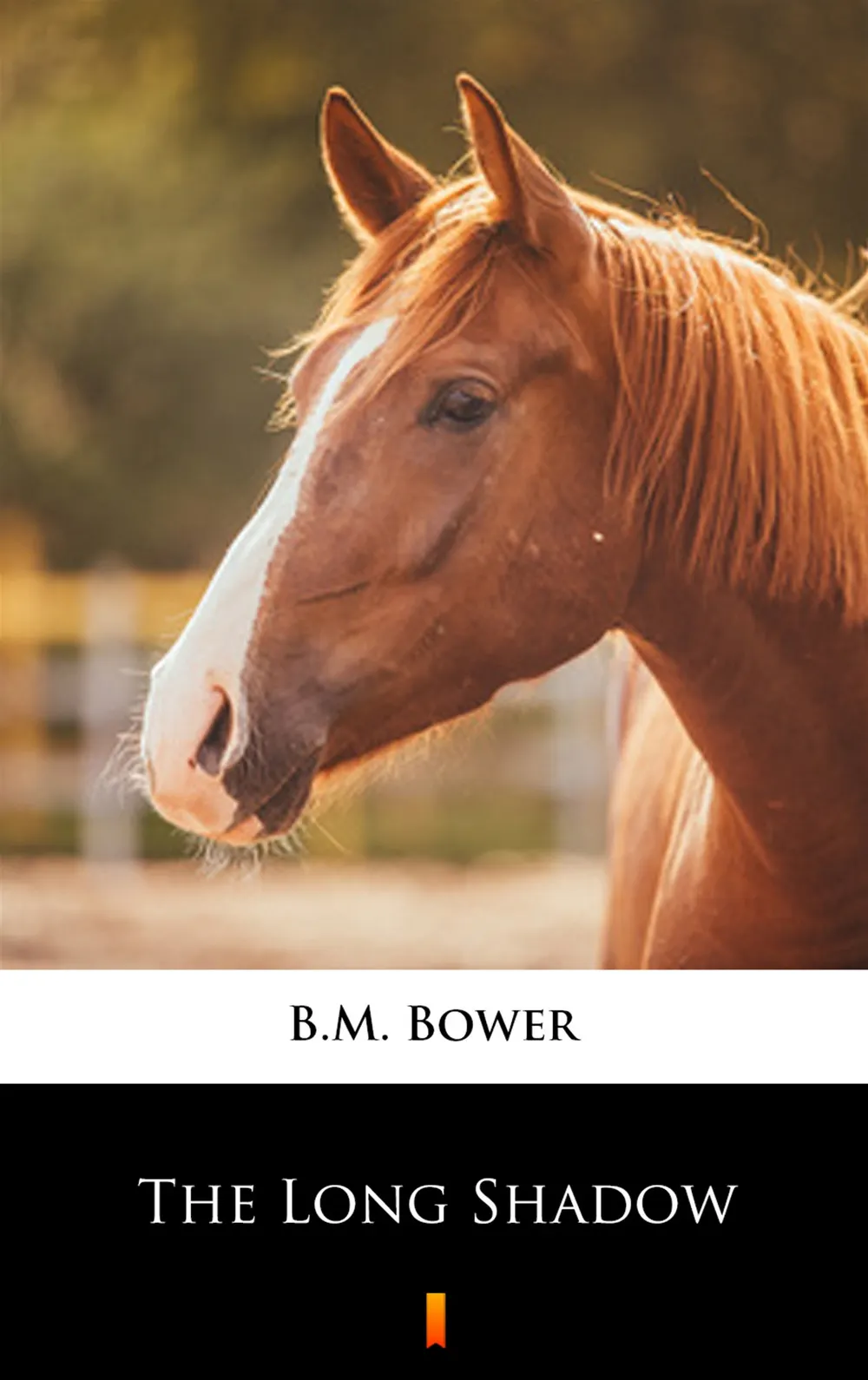 The Long Shadow (e-book) 9788381366434