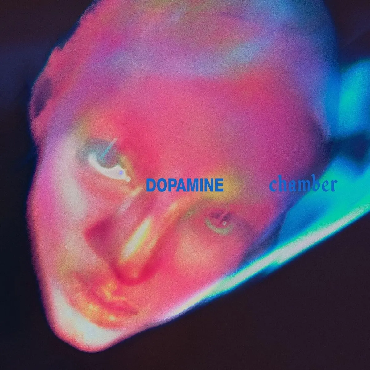 Dopamine Chamber (Digipack) 191404167328
