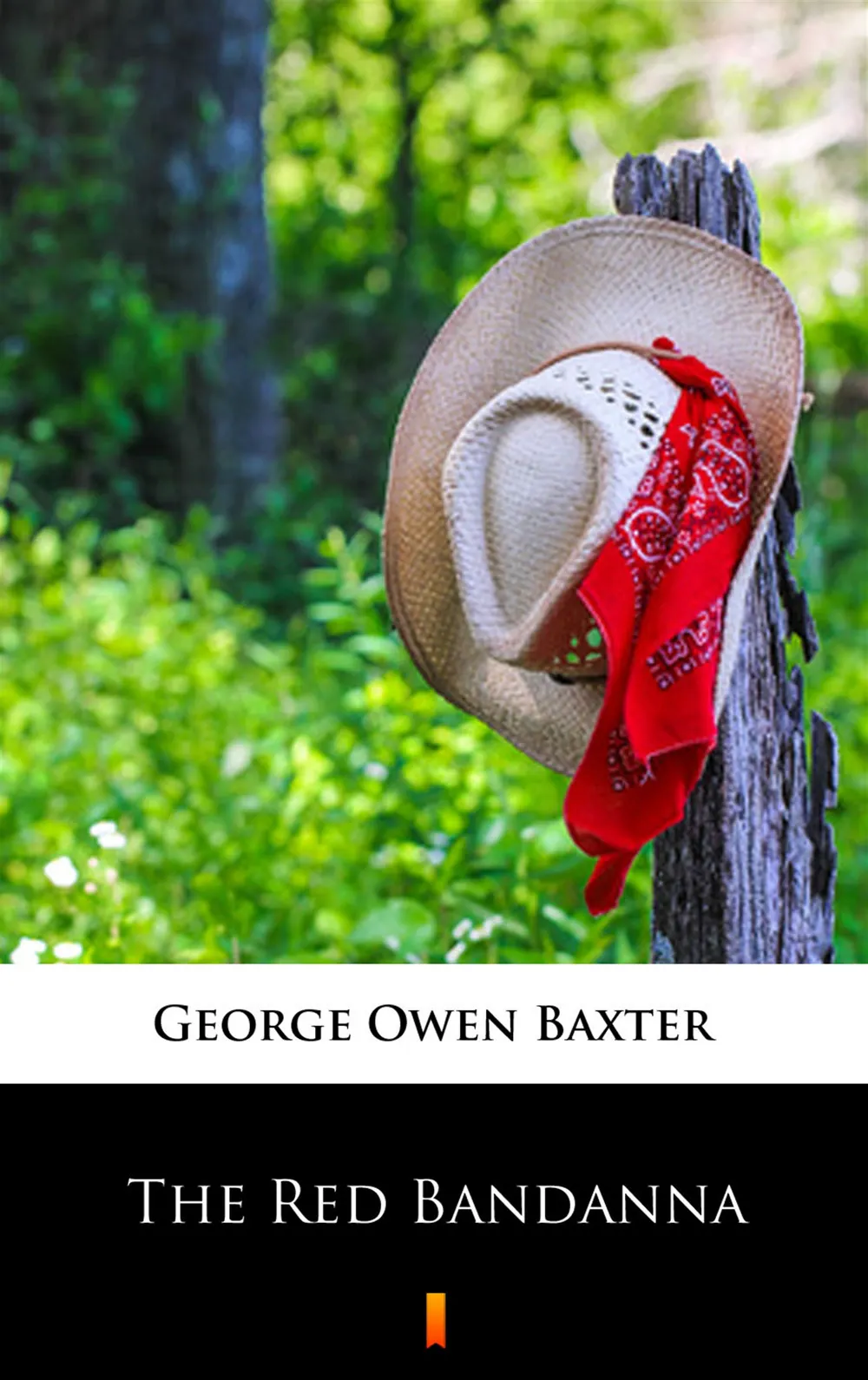 The Red Bandanna (e-book) 9788381363730