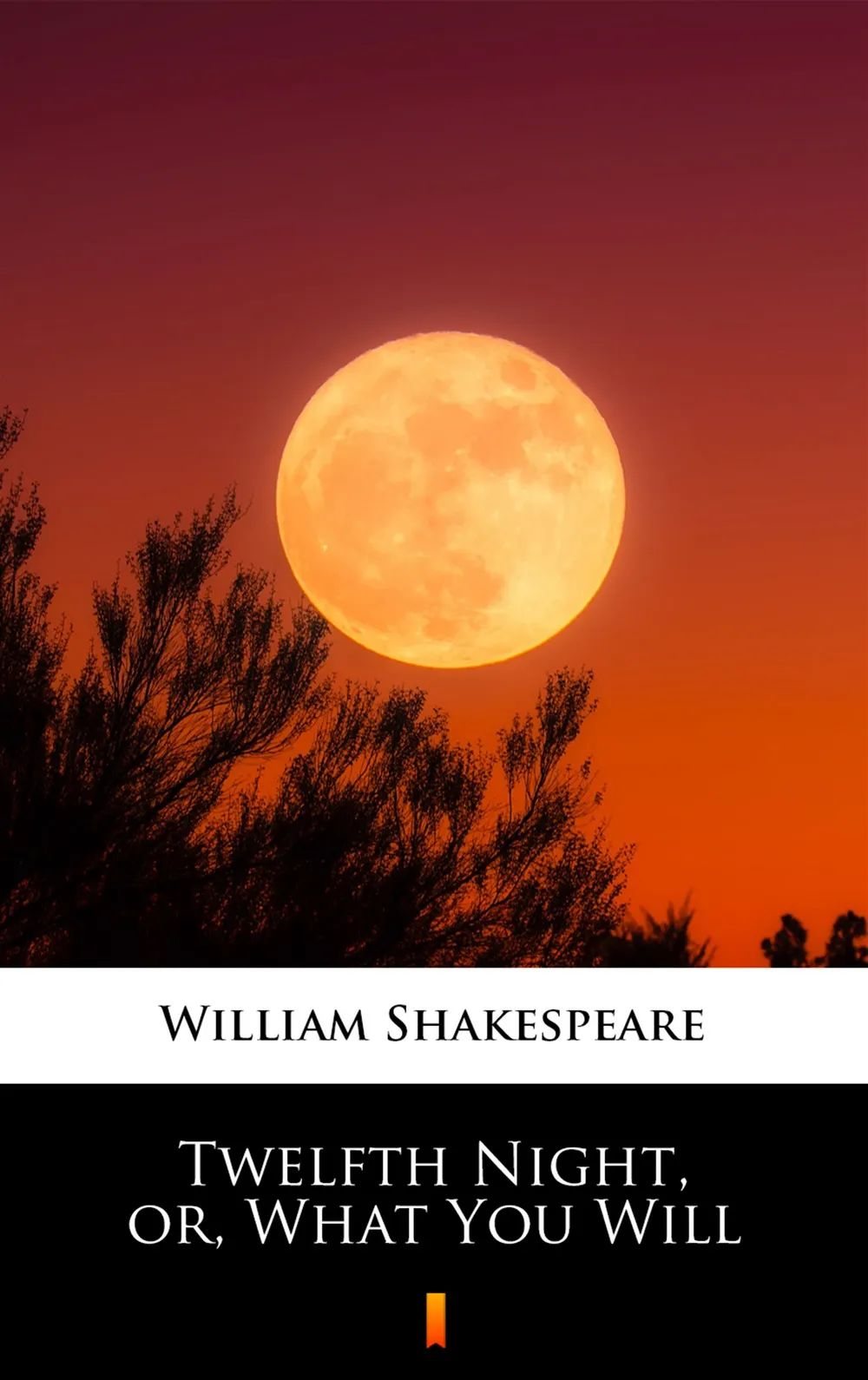 Twelfth Night, or, What You Will 9788382000535