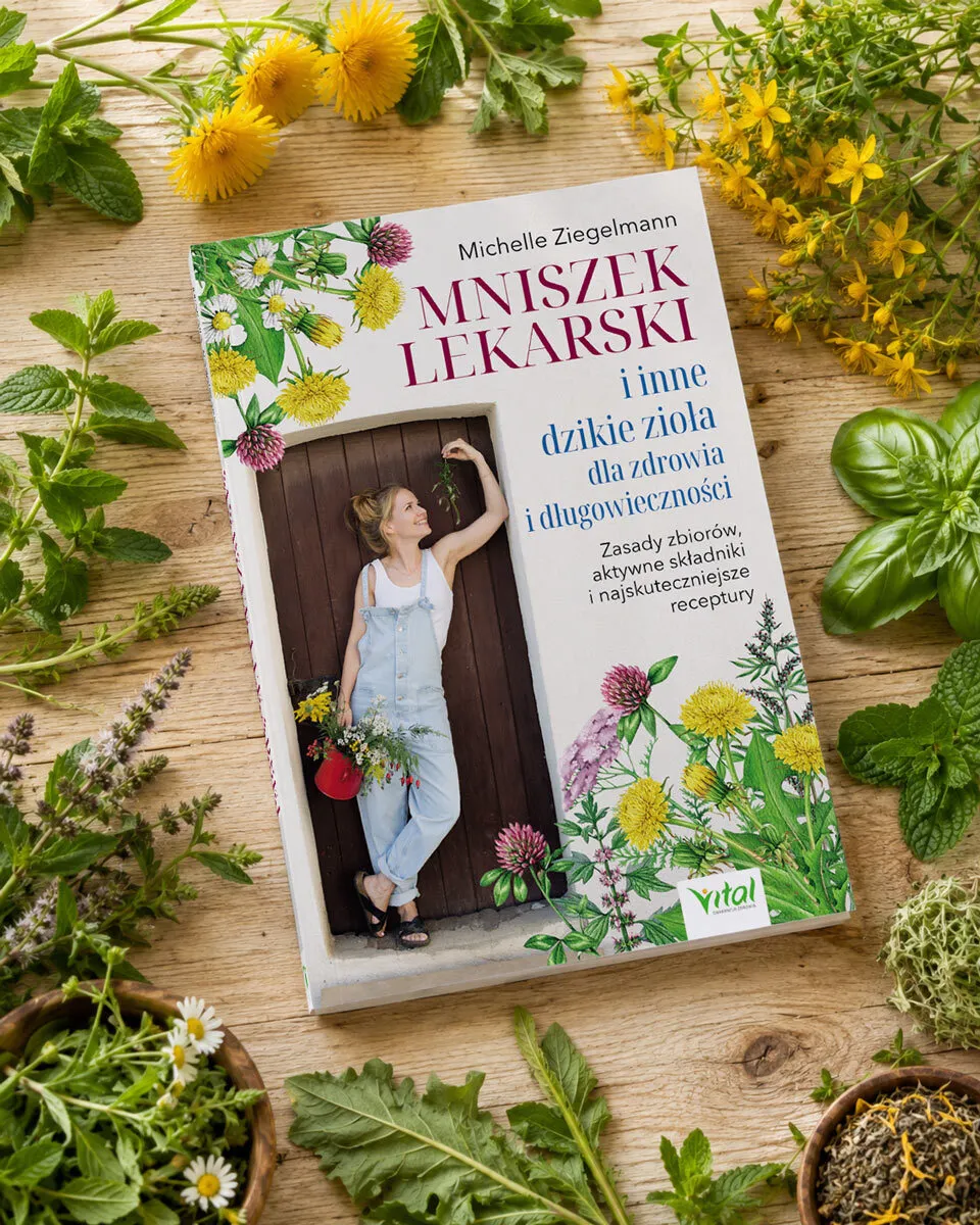 Mniszek lekarski i inne dzikie zioła dla zdrowia i długowieczności  9788384292815
