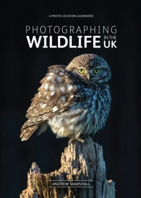 Photographing Wildlife in the UK  9780992905125