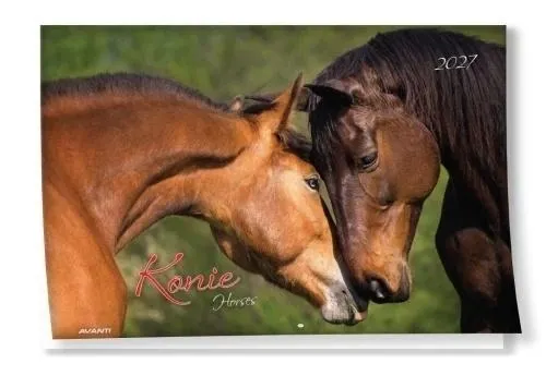 Kalendarz 2027 albumowy Konie  5906448200604