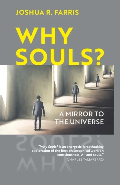 Why Souls? 9781903816417