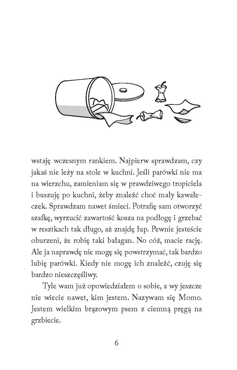 Momo Ty łobuzie 9788383109787