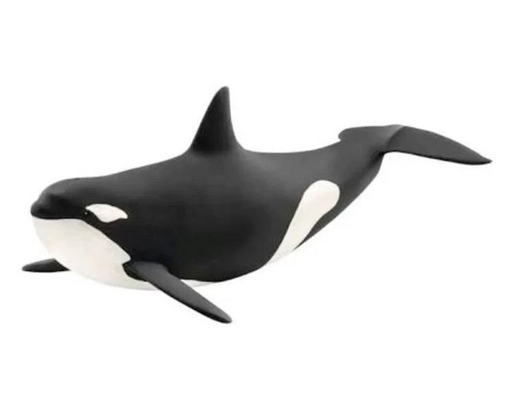 Schleich Orka oceaniczna  4059433870922