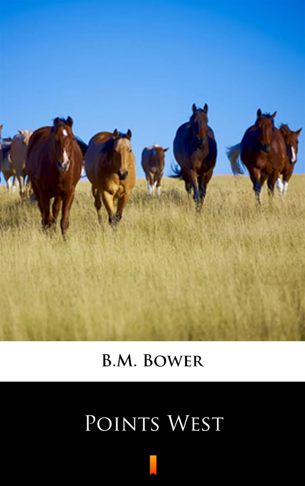 Points West (e-book) 9788381366175