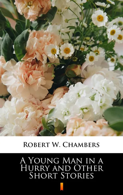 A Young Man in a Hurry and Other Short Stories 9788382925777