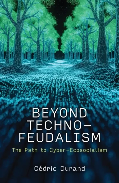 Beyond Techno-Feudalism: The Path to Cyber-Ecosocialism  9781509572915