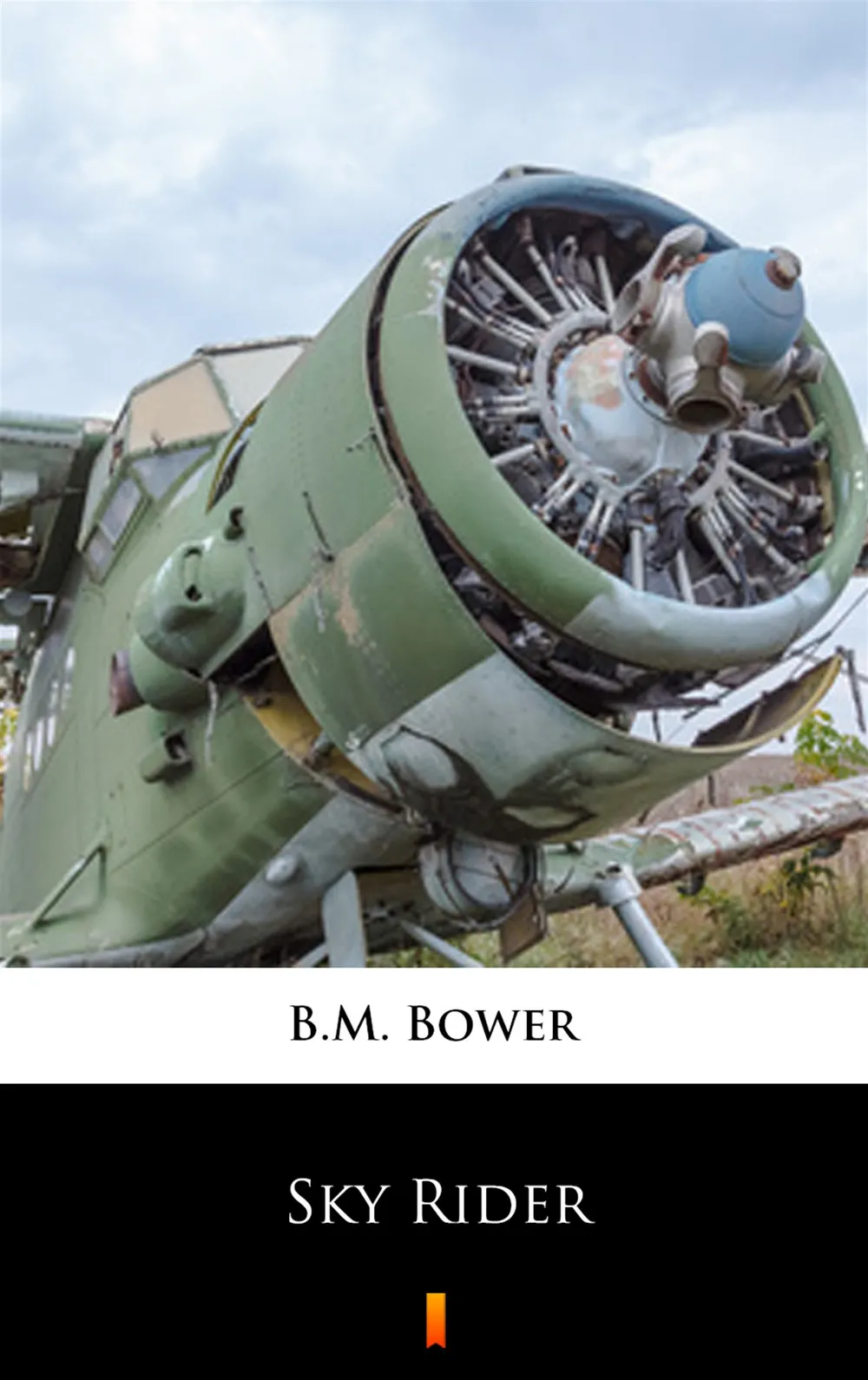 Sky Rider (e-book) 9788381366274