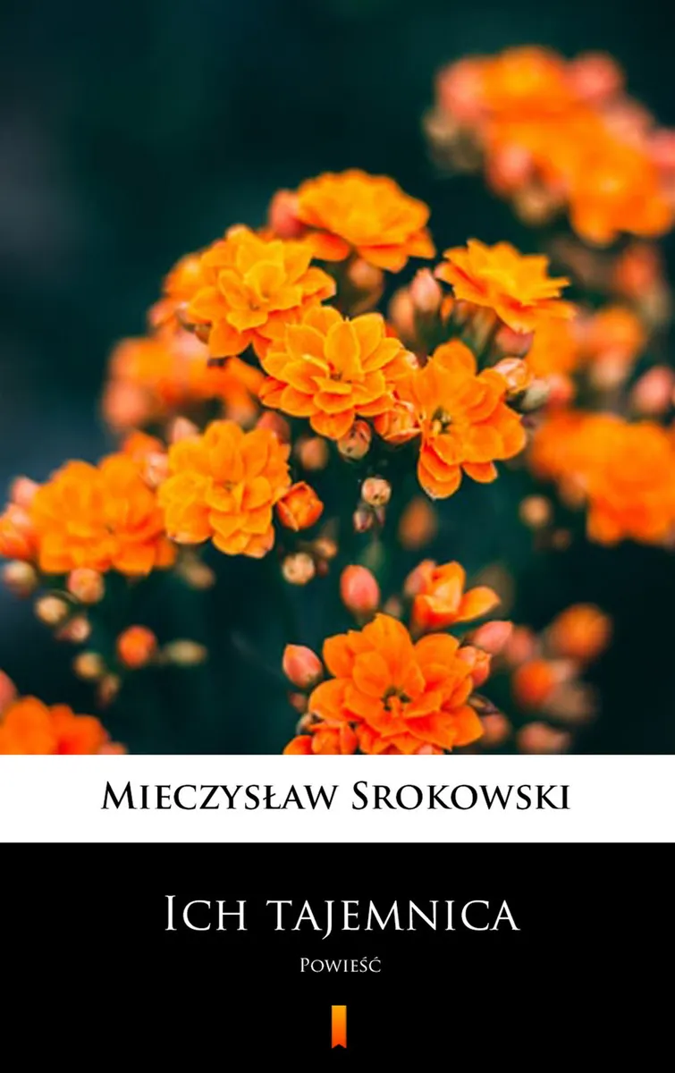Ich tajemnica. Powieść 9788382178821